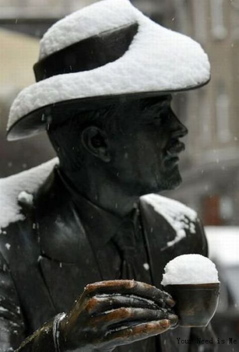 一杯雪