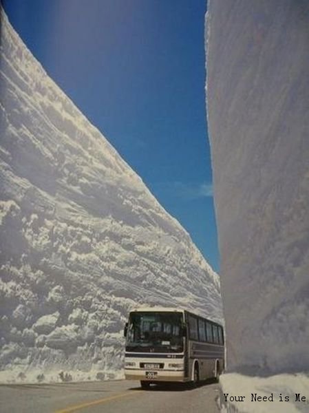 积雪